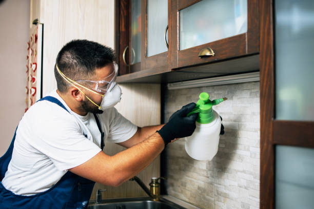 Best Pest Removal Services  in Gordon Heights, NY