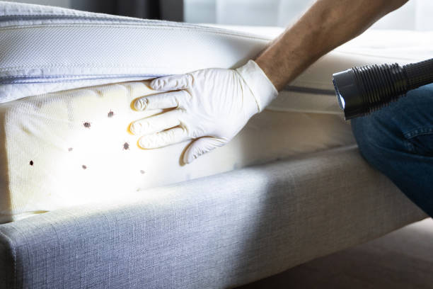 Gordon Heights, NY Pest Control Company