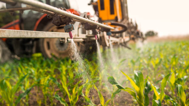 Pest Control Cost in Gordon Heights, NY